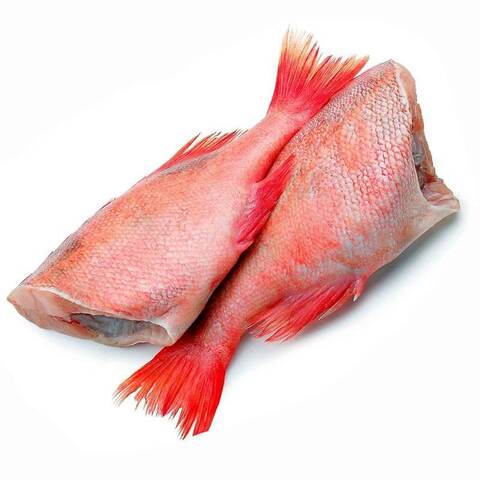 Морской окунь 300/500, весовой