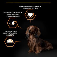 Pro Plan сухой корм для собак мелких и карликовых пород (курица, рис) 700 г