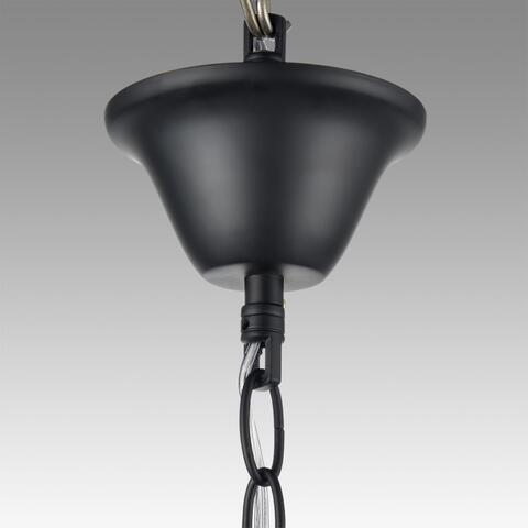 Подвесная люстра Lumion NANA 8106/8