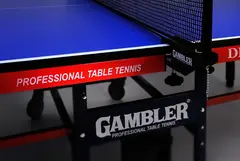 Стол теннисный GAMBLER DRAGON Синий