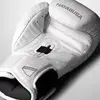 Перчатки Hayabusa Kanpeki White