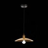 Светильник подвесной ST Luce Romo SL1017.203.01