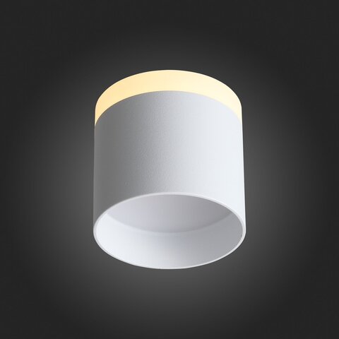 Светильник потолочный ST Luce ST102.502.09