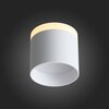 Светильник потолочный ST Luce ST102.502.09