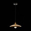 Светильник подвесной ST Luce Romo SL1017.203.01