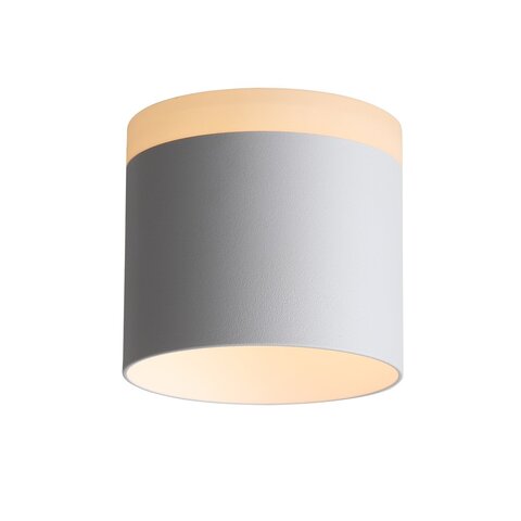 Светильник потолочный ST Luce ST102.502.12