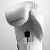 Перчатки Hayabusa Kanpeki White