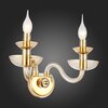 Светильник настенный ST Luce Cenela SL1758.201.02