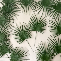 Пальма круглая зеленая, лист 20 см, зелень искусственная, набор 15 листьев.