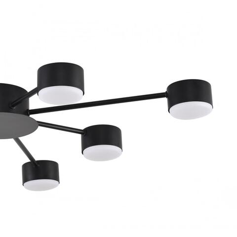 Потолочная люстра Lumion TORINA 8344/8C