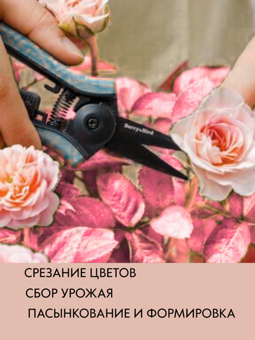 Садовые ножницы секатор Berry&Bird для цветов и сбора урожая