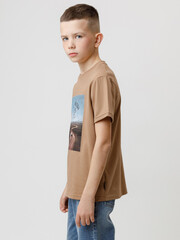 фуфайка  для мальчика  КР 302840/коричневый 1038 к586