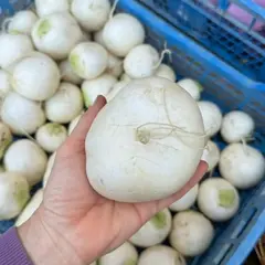 Репа белая "О, Батат", 500 г (цена указана за 500г, вес может отличаться)