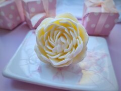 Силиконовая форма 