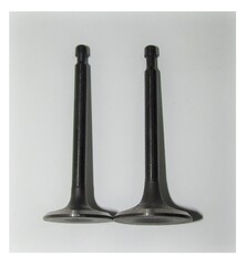 Клапан впускной/выпуской (комплект,2 шт )GX390/Valve kit