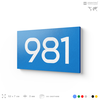Номер на дверь 981, табличка на дверь для офиса, квартиры, кабинета, аудитории, склада, голубая 120х70 мм, Айдентика Технолоджи