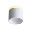 Светильник потолочный ST Luce ST102.502.12