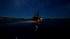 Fishing: North Atlantic - Scallops (для ПК, цифровой код доступа)