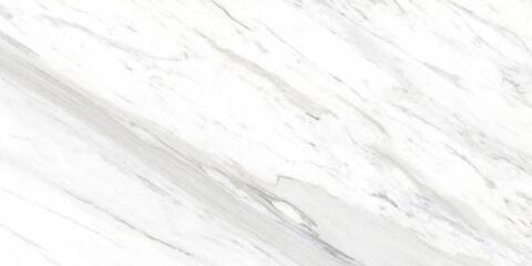 Ocean Ceramic Calcatta Belgia 60x120