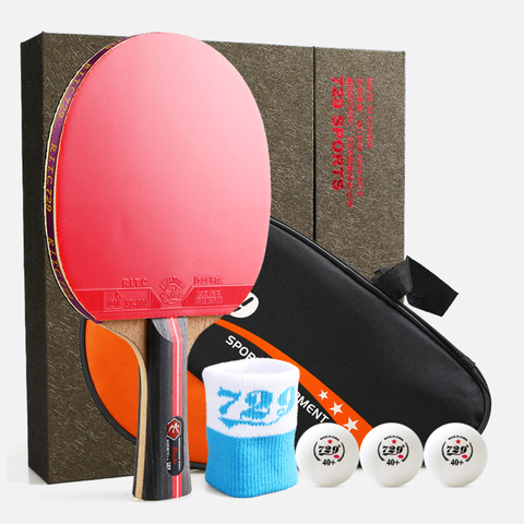 Ракетка для настольного тенниса 729 с чехлом (6 STAR Premium)