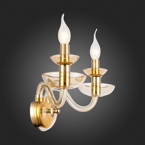 Светильник настенный ST Luce Cenela SL1758.201.02