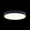 Потолочный светильник Loft It Axel 10002/24 Black