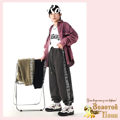 Брюки спортивные хл/начес (140-170) 251106-GV300