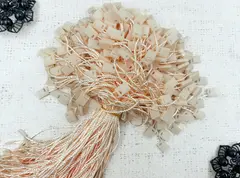 Микропломба, биркодержатели пломба пластик, р. 18 см, персиковый