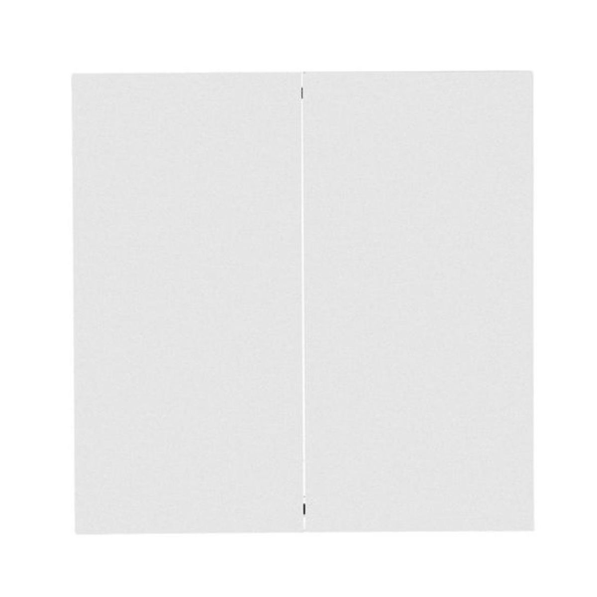 Выключатель двухклавишный Arte Lamp Smart A700133