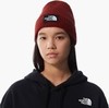 Картинка шапка The North Face Logo Box Cuff Beanie reg Brick Hou - 2