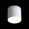 Светильник потолочный ST Luce ST102.502.12