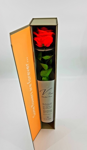 Стабилизированная роза на стебле премиум вип в подарочной тубе