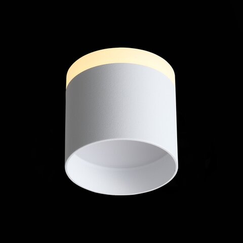 Светильник потолочный ST Luce ST102.502.12