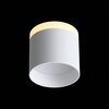 Светильник потолочный ST Luce ST102.502.12