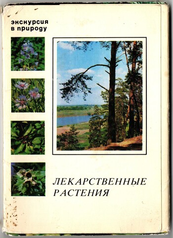 Лекарственные растения набор из 25 карточек, Экскурсия в природу, СССР 1978 год