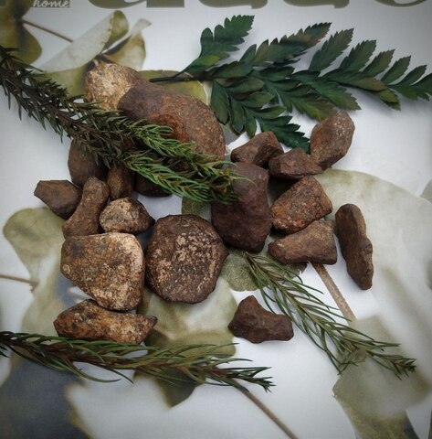 Метеорит Mundrabilla