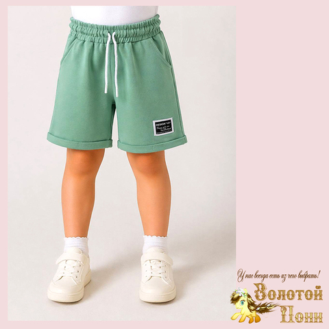 Шорты хлопок д (5-9) 260416-N555