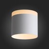 Светильник потолочный ST Luce ST102.502.12