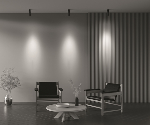 Накладной светодиодный светильник Maytoni Focus Zoom C055CL-L12W3K-Z-B