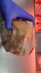 Мостолыга / Мосол (сустав говяжий)