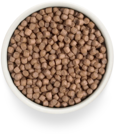 PREMIER Свежее мясо индейки для взрослых собак мелких пород