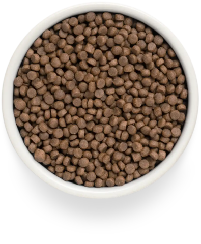 PREMIER Свежее мясо индейки для взрослых стерилизованных кошек