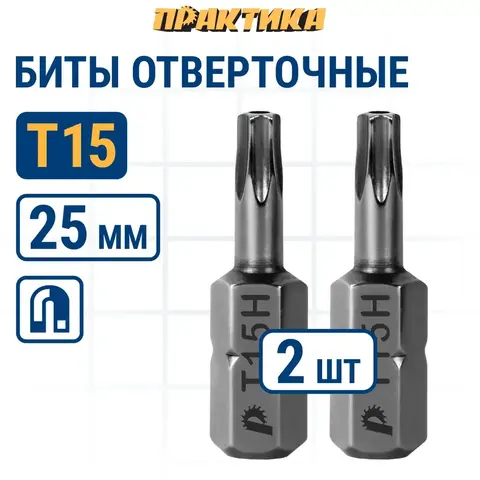 Бита отверточная ПРАКТИКА Профи Torx Tamper-15 х 25мм (2шт) (035-646)
