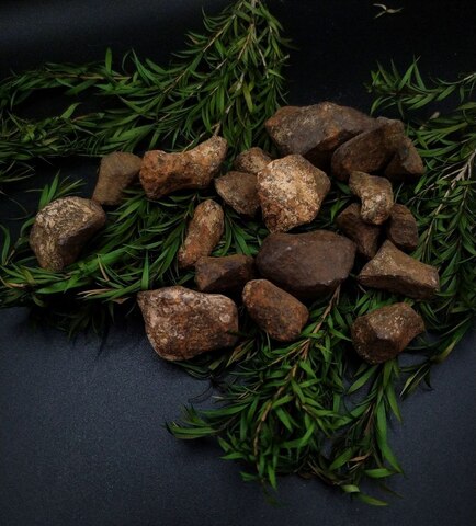 Метеорит Mundrabilla