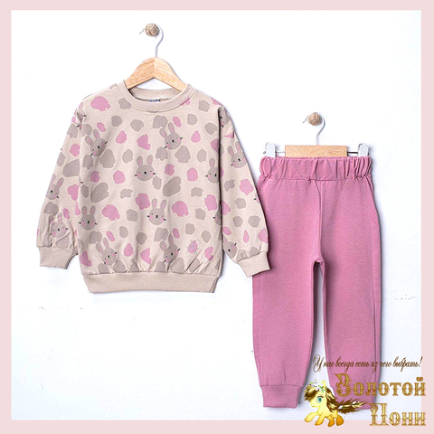 Костюм хлопок д (2-5) 260119-SL6168