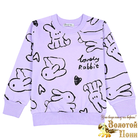 Свитшот хлоп/начес д (3-7) 241030-BK1718T.1