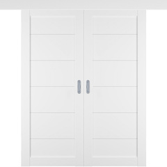 Купить Раздвижная двустворчатая дверь купе Emalex 32 Ice глухая