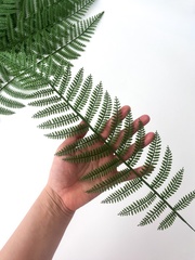 Папоротник, зелень искусственная, 56 см., набор 10 веток.