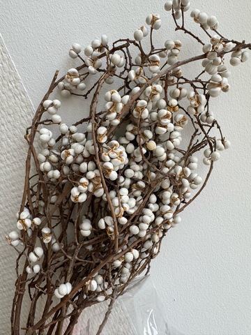 Ягоды шёлка сухоцвет Большой пучок плоды