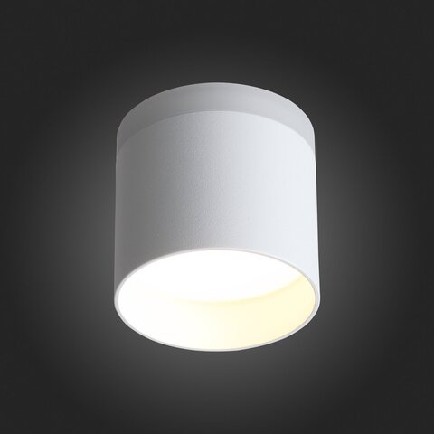 Светильник потолочный ST Luce ST102.502.12